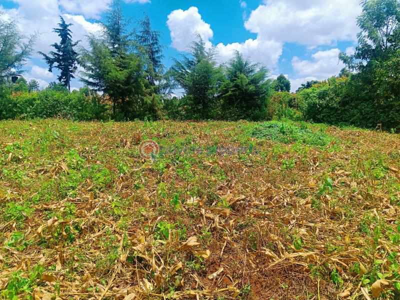 Residential Land For Sale Riu Nderi Gikambura Kikuyu Kiambu - 5