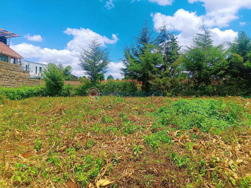 Residential Land For Sale Riu Nderi Gikambura Kikuyu Kiambu - 4