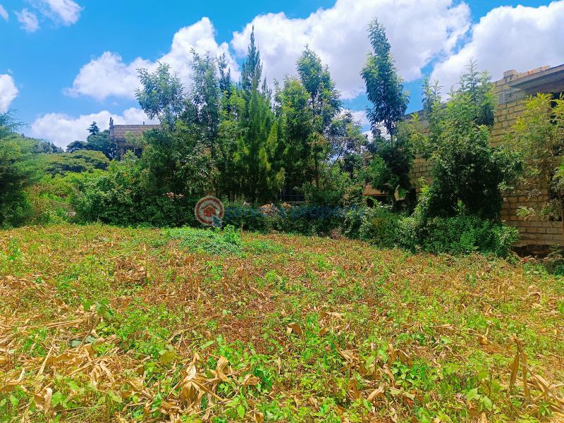 Residential Land For Sale Riu Nderi Gikambura Kikuyu Kiambu - 6