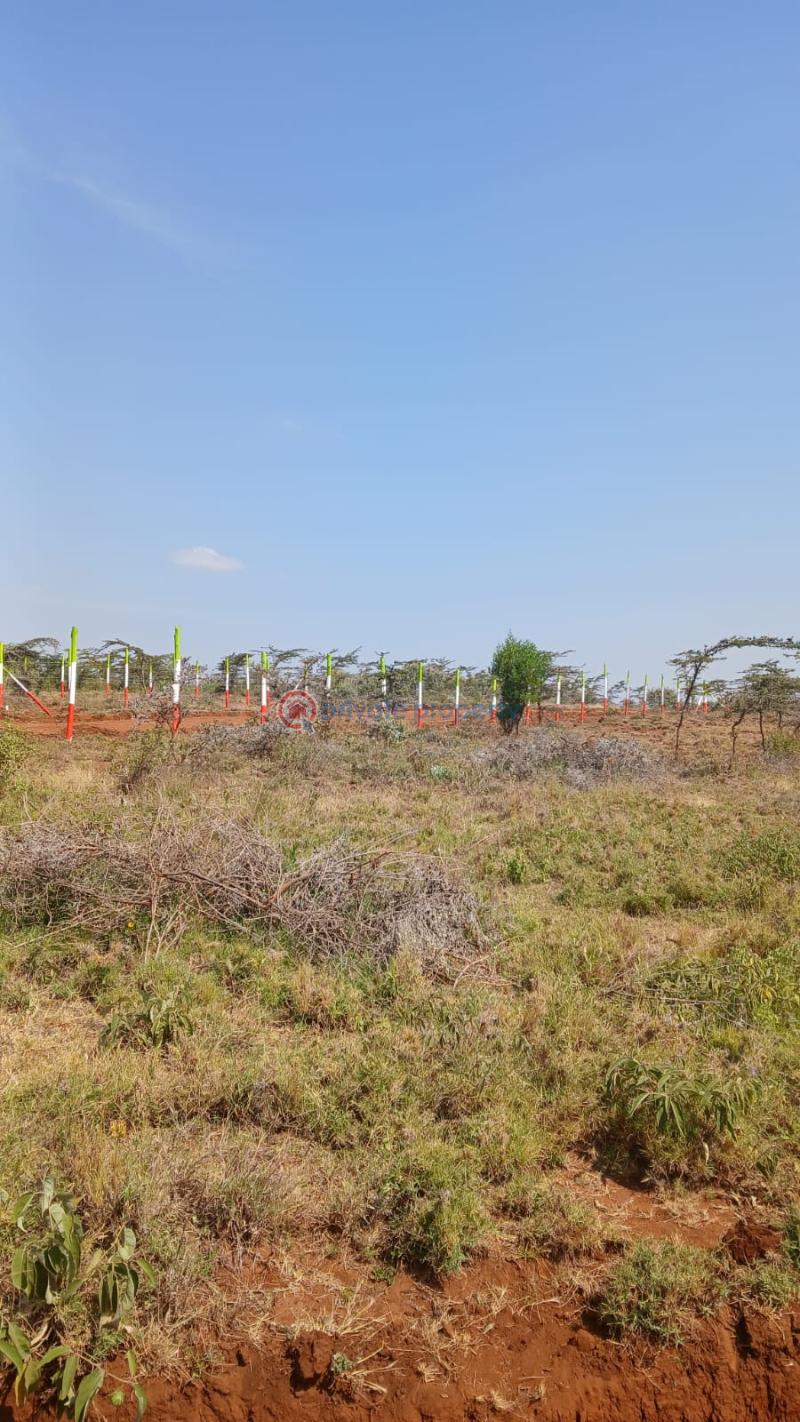 Land For Sale Mikuyu Ini Nachu Kiambu - 3