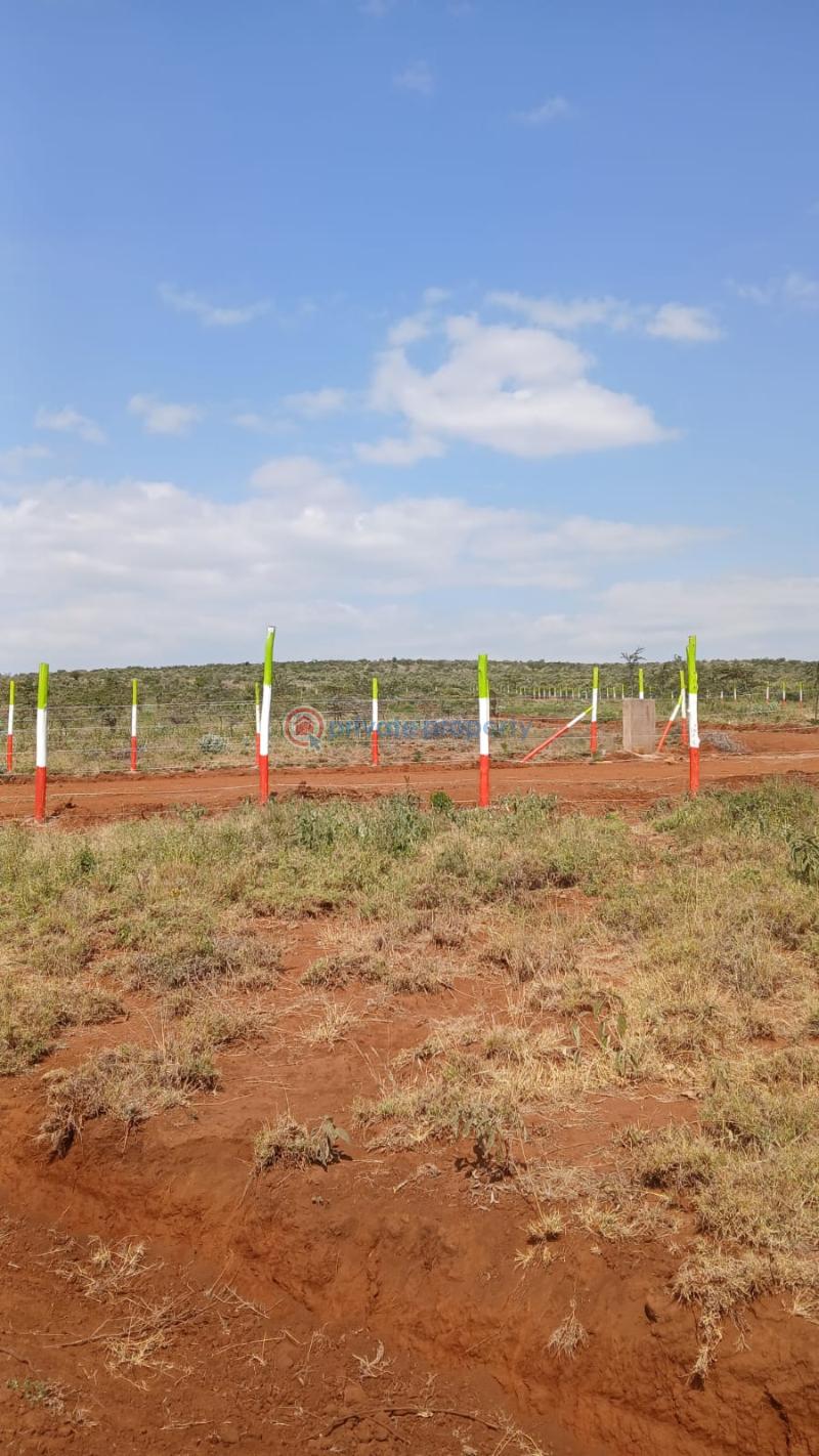 Land For Sale Mikuyu Ini Nachu Kiambu - 4