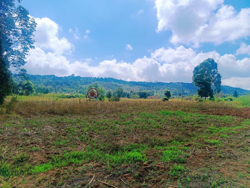 Residential Land For Sale Nguirubi Thigio Kikuyu Kiambu - 6