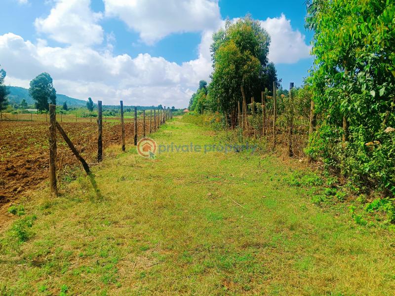 Residential Land For Sale Nguirubi Thigio Kikuyu Kiambu - 5