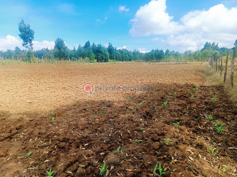 Residential Land For Sale Nguirubi Thigio Kikuyu Kiambu - 3
