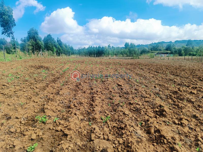 Residential Land For Sale Nguirubi Thigio Kikuyu Kiambu - 2