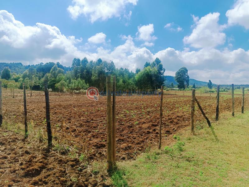 Residential Land For Sale Nguirubi Thigio Kikuyu Kiambu - 4
