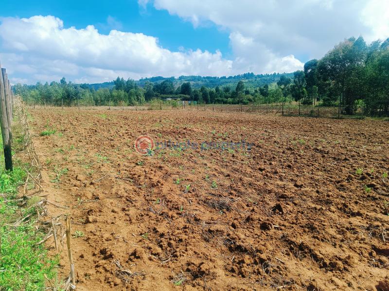 Residential Land For Sale Nguirubi Thigio Kikuyu Kiambu - 1