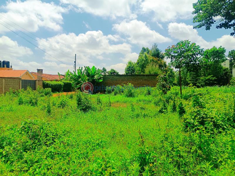 Residential Land For Sale Damacrest School Area Thogoto Kikuyu Kiambu - 19
