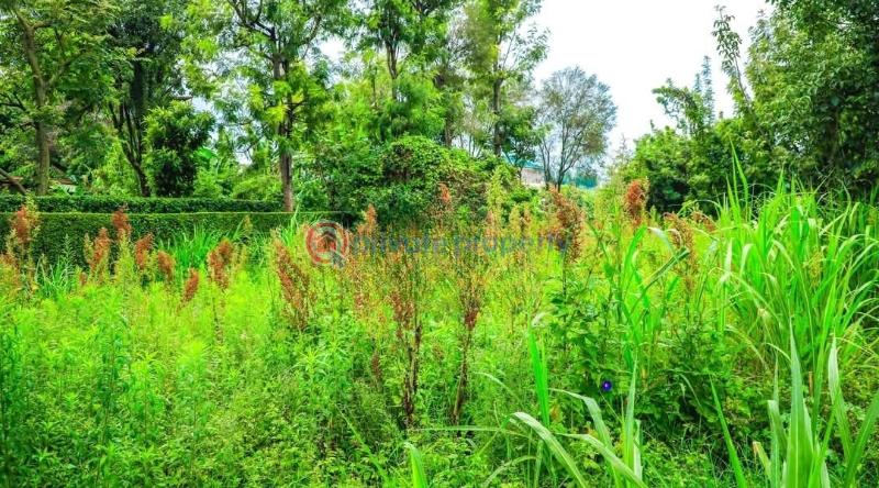 Residential Land For Sale Damacrest School Area Thogoto Kikuyu Kiambu - 23