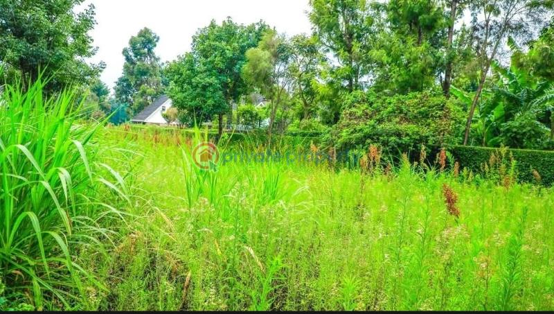 Residential Land For Sale Damacrest School Area Thogoto Kikuyu Kiambu - 22