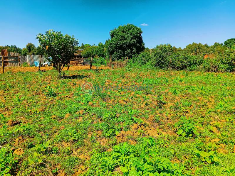 Residential Land For Sale Kamangu, Gitutha Kamangu Kikuyu Kiambu - 2