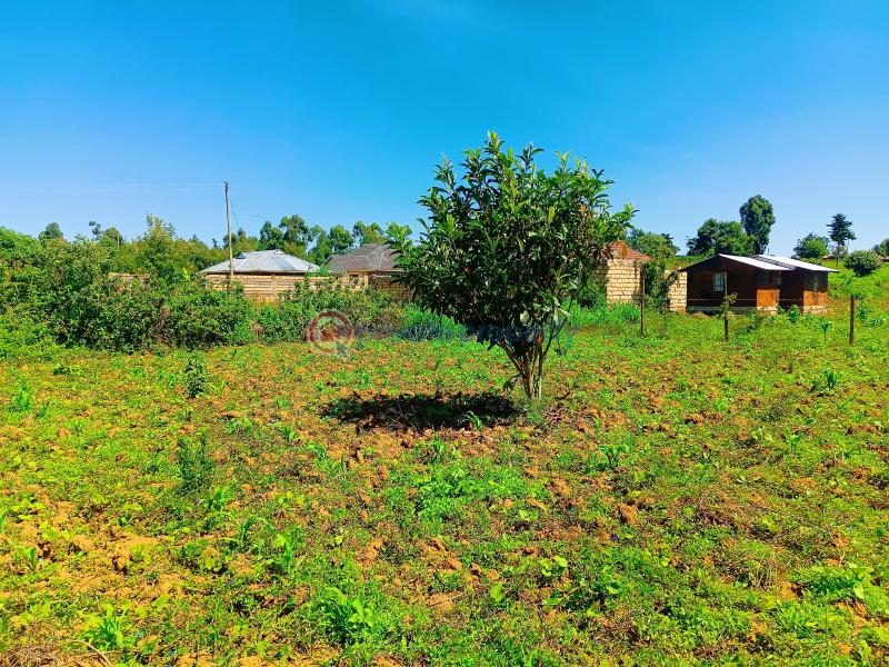 Residential Land For Sale Kamangu, Gitutha Kamangu Kikuyu Kiambu - 4