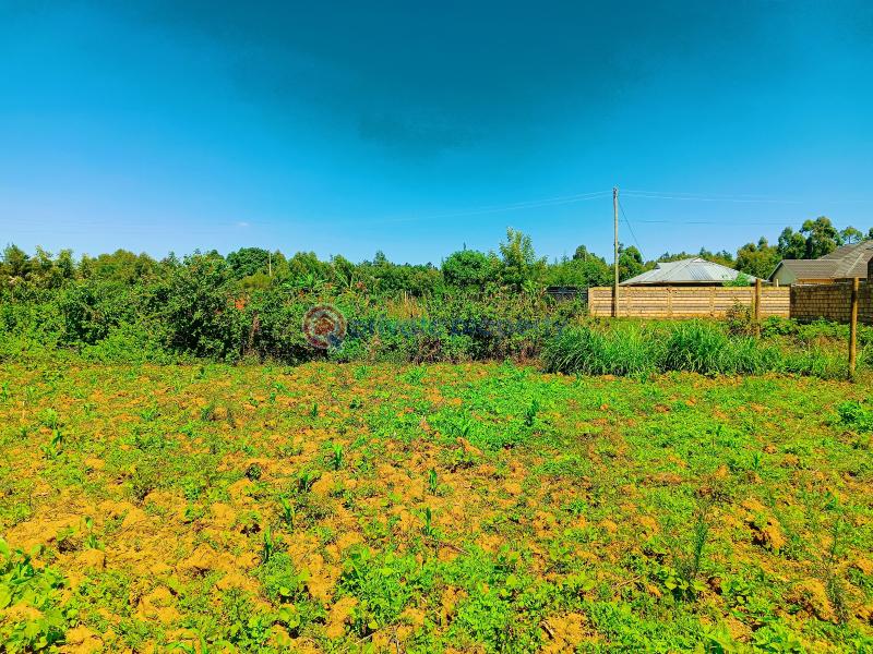 Residential Land For Sale Kamangu, Gitutha Kamangu Kikuyu Kiambu - 3