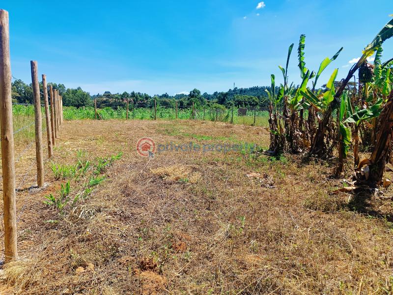 Residential Land For Sale Lussigetti Opposite Rosegate 3 Estate Lussigetti Kikuyu Kiambu - 4