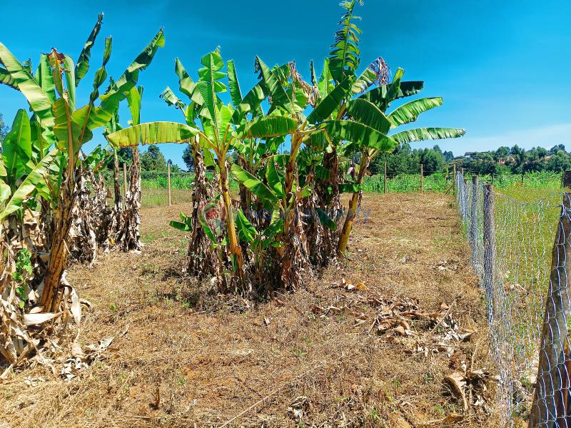 Residential Land For Sale Lussigetti Opposite Rosegate 3 Estate Lussigetti Kikuyu Kiambu - 6