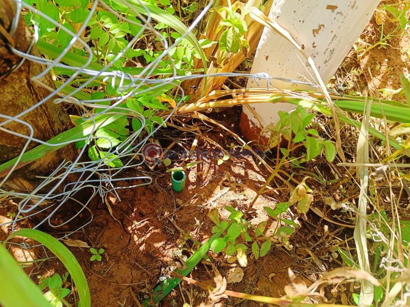 Residential Land For Sale Lussigetti Opposite Rosegate 3 Estate Lussigetti Kikuyu Kiambu - 9