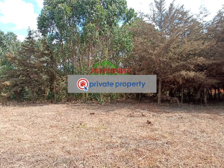 Residential Land For Sale &nbsp;lusingetti Kikuyu Kiambu - 3