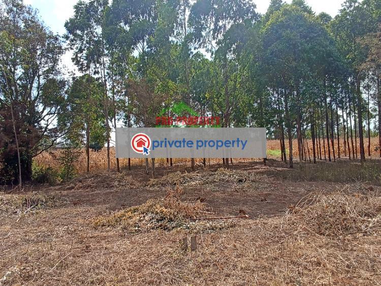 Residential Land For Sale &nbsp;lusingetti Kikuyu Kiambu - 6