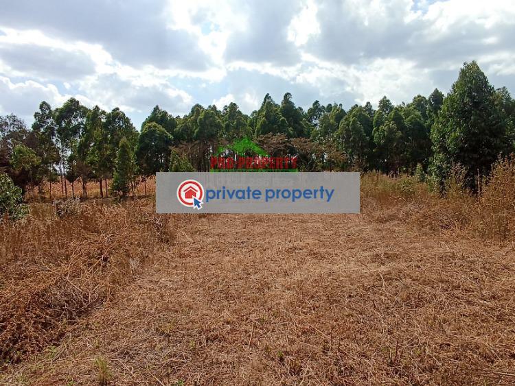 Residential Land For Sale &nbsp;lusingetti Kikuyu Kiambu - 4