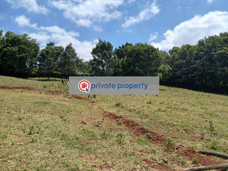 Land For Sale &nbsp;ondiri Kikuyu Kiambu - 5