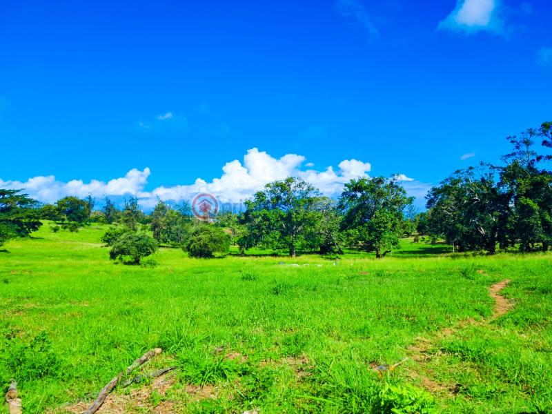 Land For Sale Malindi Airport Area Malindi Town Kilifi - 2