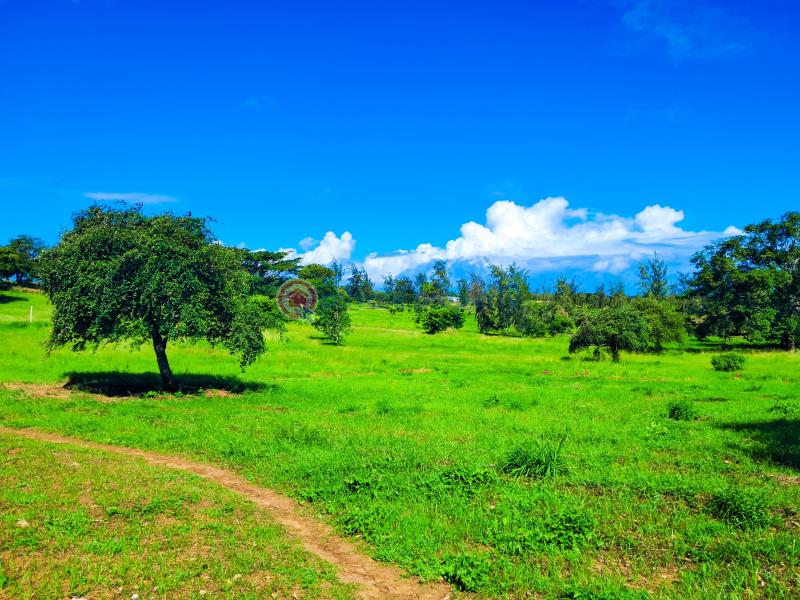 Land For Sale Malindi Airport Area Malindi Town Kilifi - 3