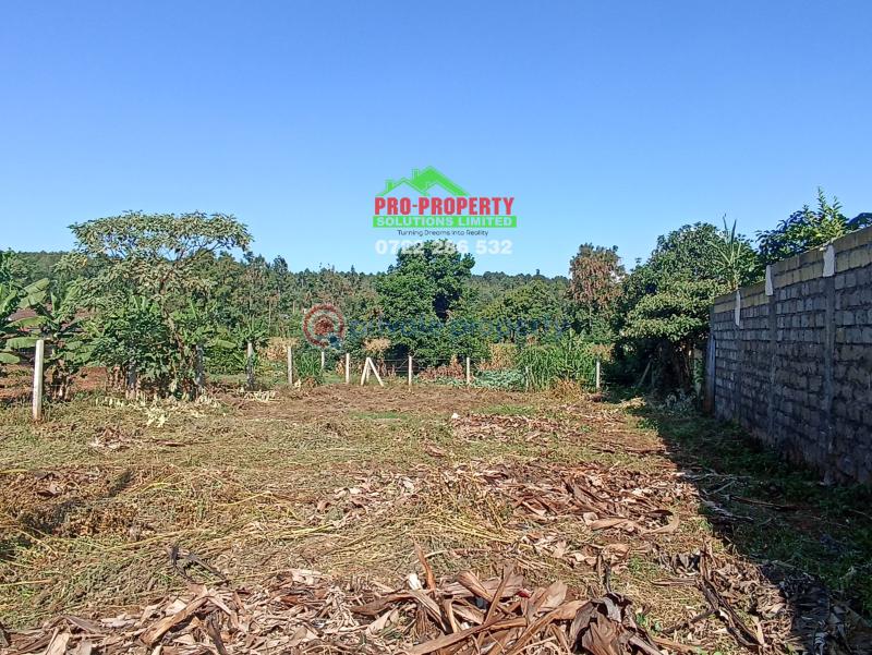 Residential Land For Sale Thogoto Kikuyu Kiambu - 3