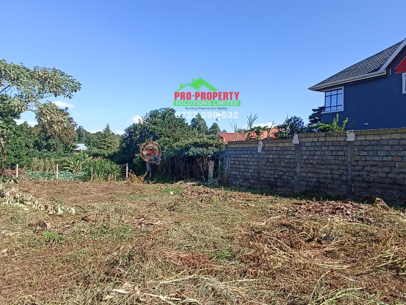 Residential Land For Sale Thogoto Kikuyu Kiambu - 7