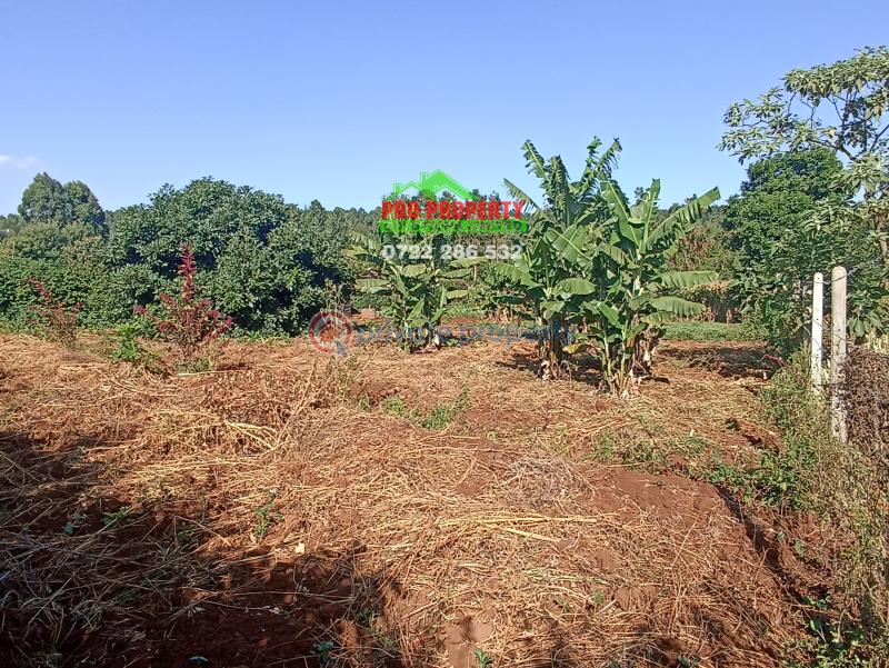 Residential Land For Sale Thogoto Kikuyu Kiambu - 5
