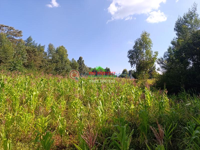 Residential Land For Sale Ondiri, Muslim Ondiri Kikuyu Kiambu - 2