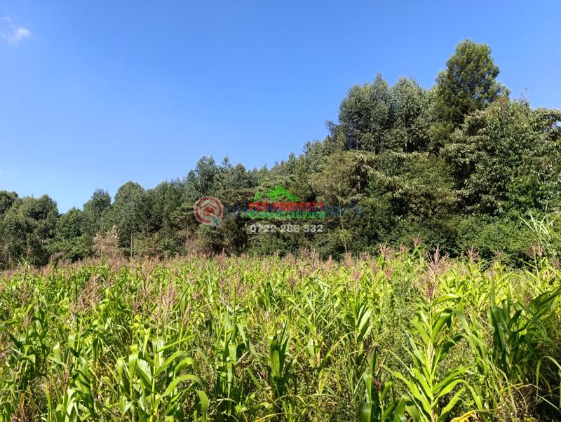 Residential Land For Sale Ondiri, Muslim Ondiri Kikuyu Kiambu - 7
