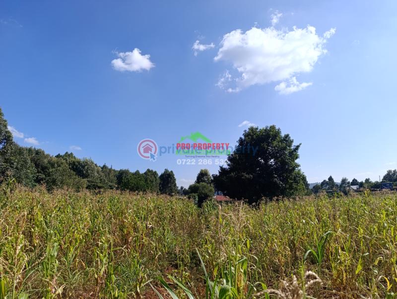 Residential Land For Sale Ondiri, Muslim Ondiri Kikuyu Kiambu - 6