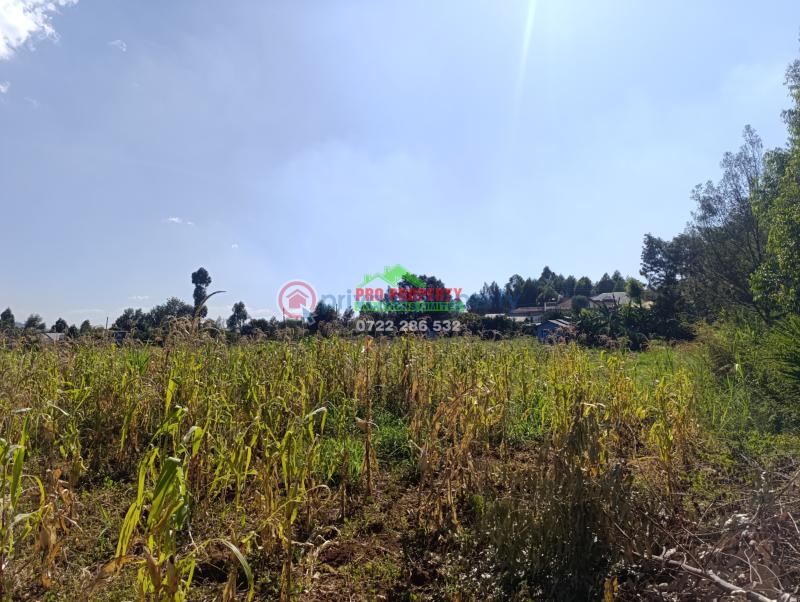 Residential Land For Sale Ondiri, Muslim Ondiri Kikuyu Kiambu - 5