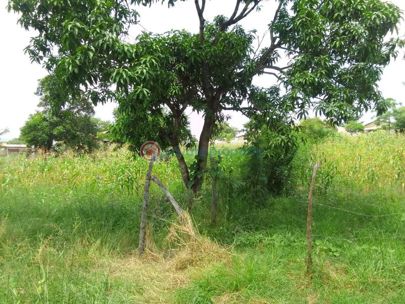 Residential Land For Sale Kashani, Kiembeni mtambo Road Bamburi Mombasa - 7