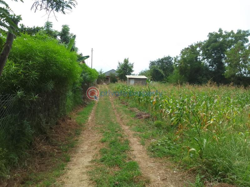 Residential Land For Sale Kashani, Kiembeni mtambo Road Bamburi Mombasa - 8