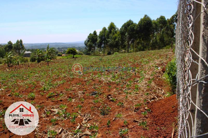 Residential Land For Sale Runana Kamangu Kikuyu Kiambu - 4