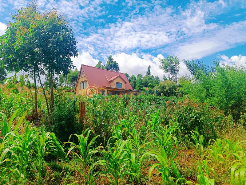 Residential Land For Sale Runana Kamangu Kikuyu Kiambu - 17