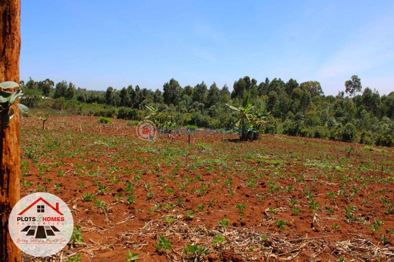 Residential Land For Sale Runana Kamangu Kikuyu Kiambu - 5
