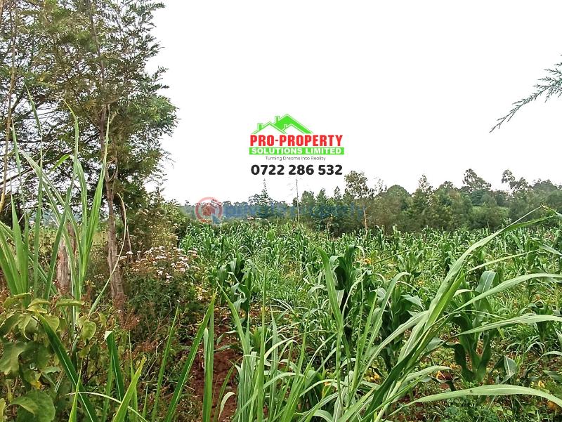 Residential Land For Sale Kamangu Kikuyu Kiambu - 5