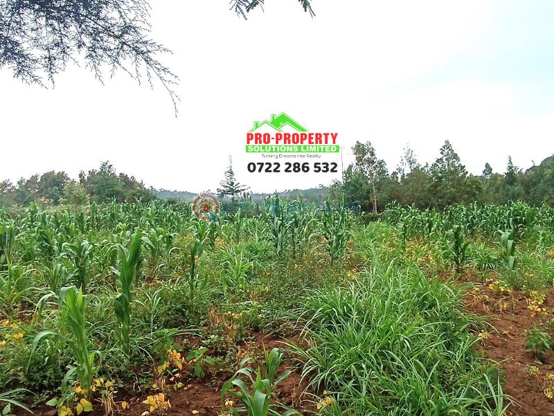 Residential Land For Sale Kamangu Kikuyu Kiambu - 3