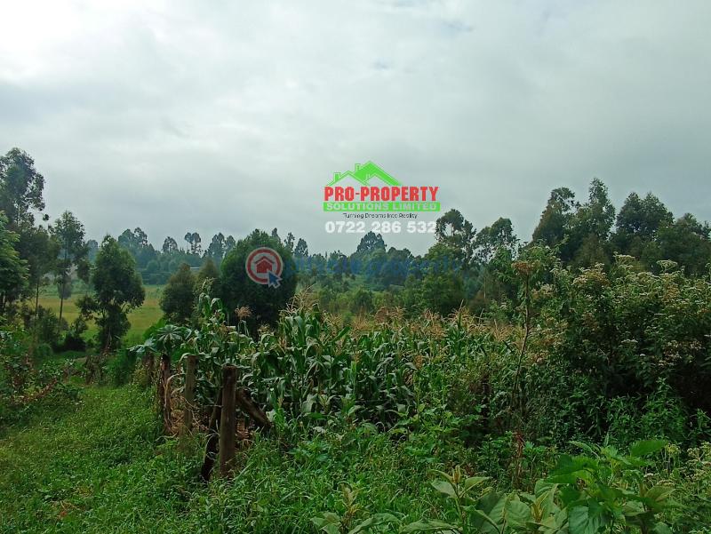 Land For Sale Ondiri Kikuyu Kiambu - 4