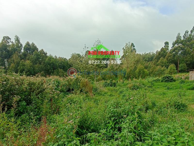 Land For Sale Ondiri Kikuyu Kiambu - 1