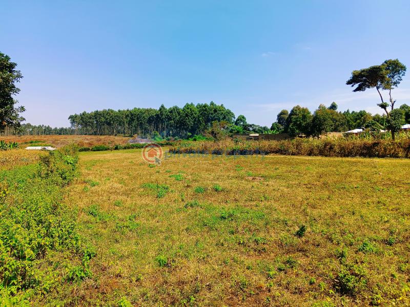 Residential Land For Sale Damacrest School Area Thogoto Kikuyu Kiambu - 4