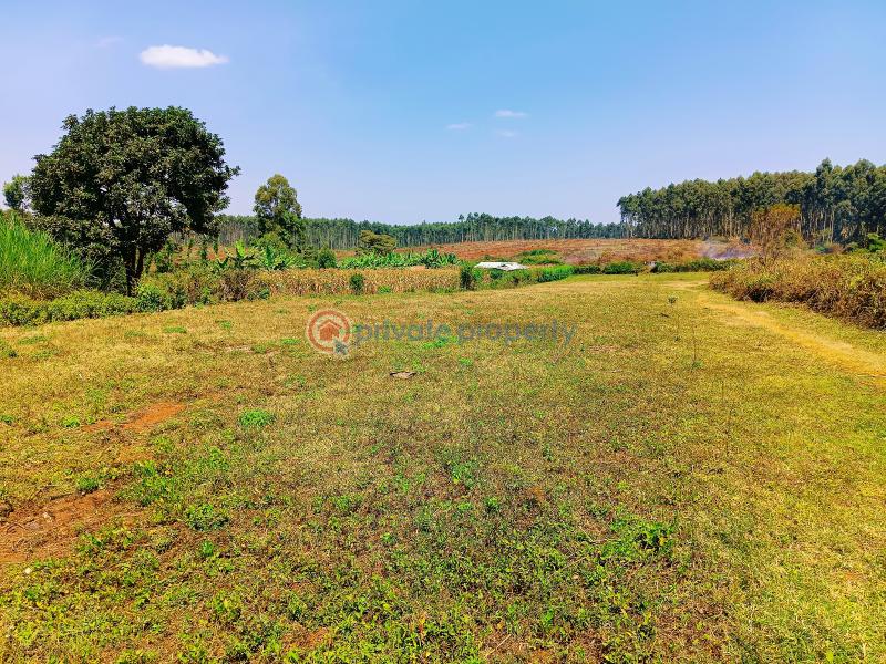Residential Land For Sale Damacrest School Area Thogoto Kikuyu Kiambu - 3