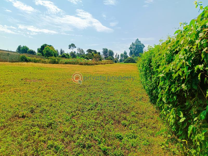 Residential Land For Sale Damacrest School Area Thogoto Kikuyu Kiambu - 2