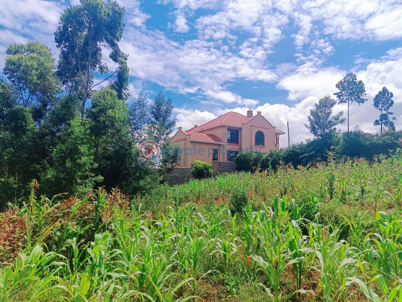 Residential Land For Sale Runana Kamangu Kikuyu Kiambu - 16