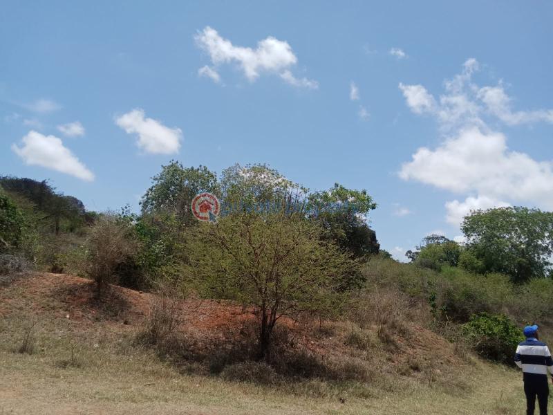 1 bedroom Land For Sale Mavueni Mnarani Kilifi - 2