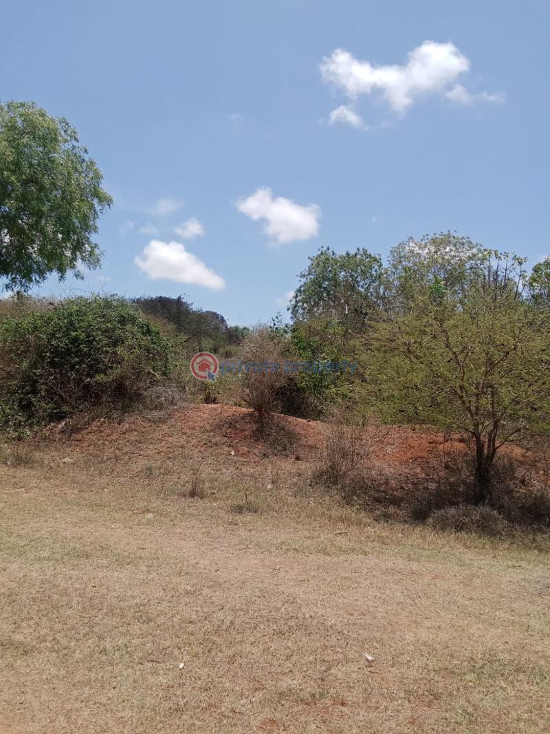 1 bedroom Land For Sale Mavueni Mnarani Kilifi - 3