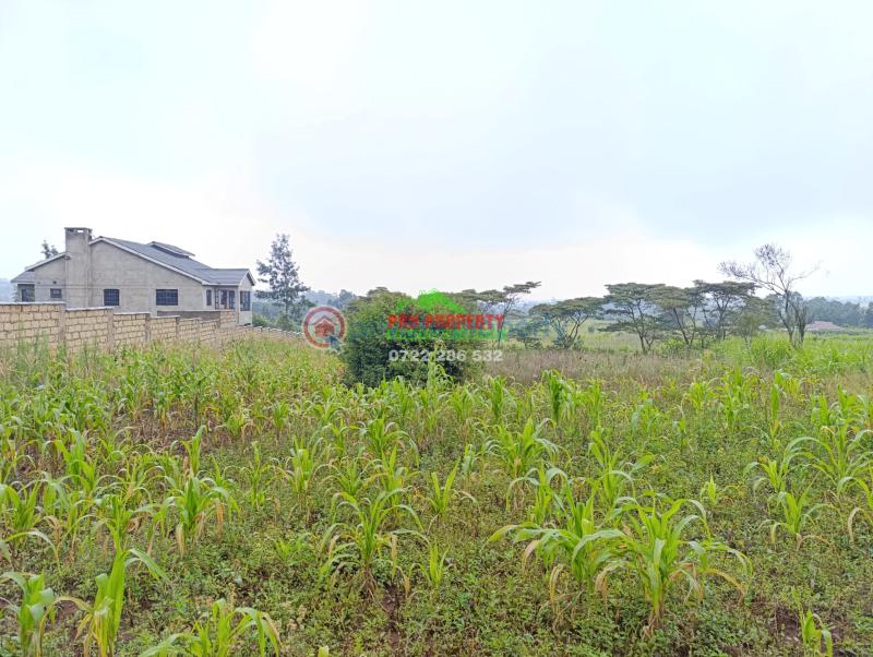 Residential Land For Sale Karii Gikambura (nairobi Ndogo) Kikuyu Kiambu - 3