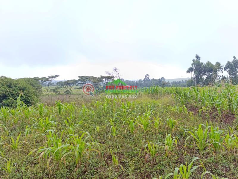 Residential Land For Sale Karii Gikambura (nairobi Ndogo) Kikuyu Kiambu - 4